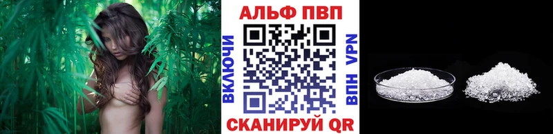 сколько стоит  shop телеграм  Alfa_PVP СК  Воткинск 