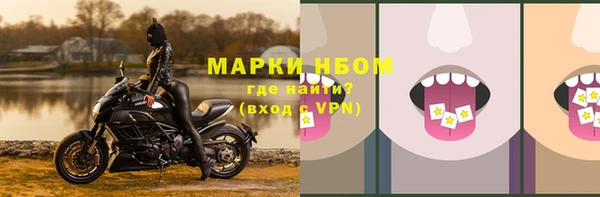 соль ск Белокуриха